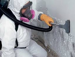 Best Crawl Space Mold Remediation  in Bohemia, NY